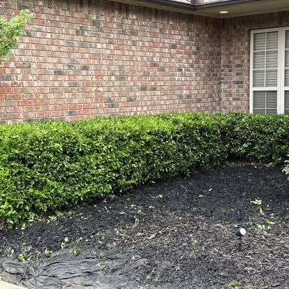 Trimmed hedges along brick home