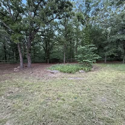 Wooded lot after cleanup